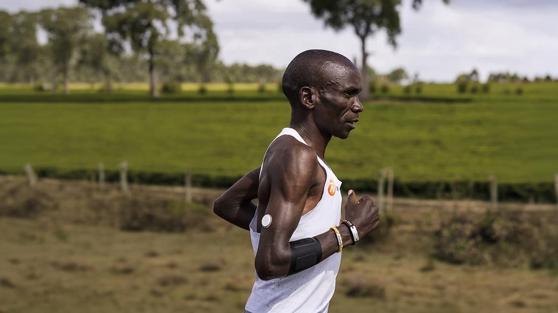 Biossensores de Glicose: Vale a Pena Monitorar o Açúcar no Sangue Durante os Treinos?