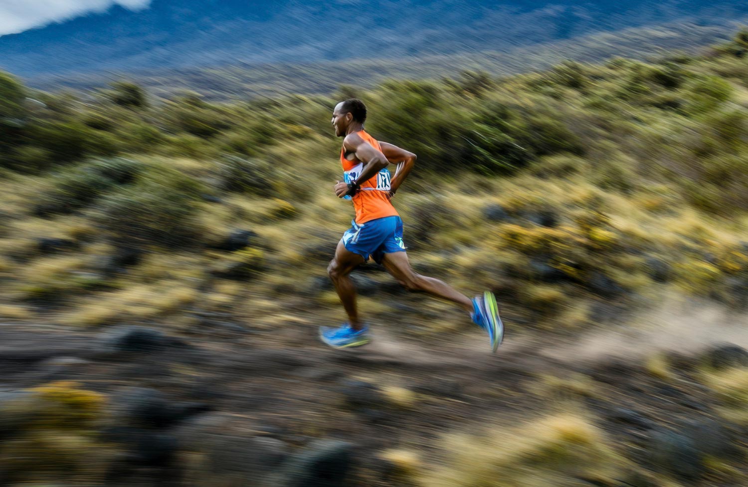 Meia Maratona de Araçatuba 2026: Oportunidade para Recordes